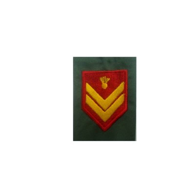 614-thickbox_default