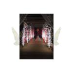 ΣΥΝΤΡΙΒΑΝΙΑ ΕΚΔΗΛΩΣΕΩΝ